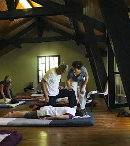 Stage Shiatsu juin 2014